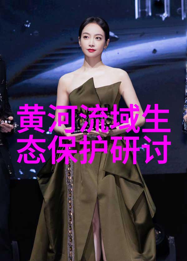 临泉聚焦三本账整改突出环境问题
