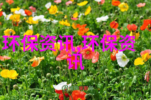 招商引资项目没有特权扬尘污染不能三不管