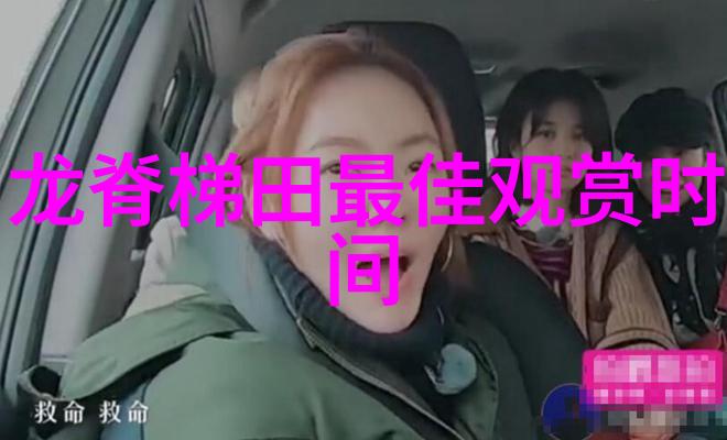 广东徐闻县生活垃圾焚烧发电项目社会稳定风险